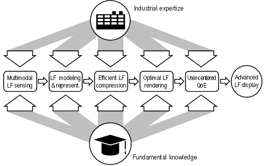 tut_hol_expertise